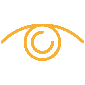 empresa de transporte rodoviario de cargas